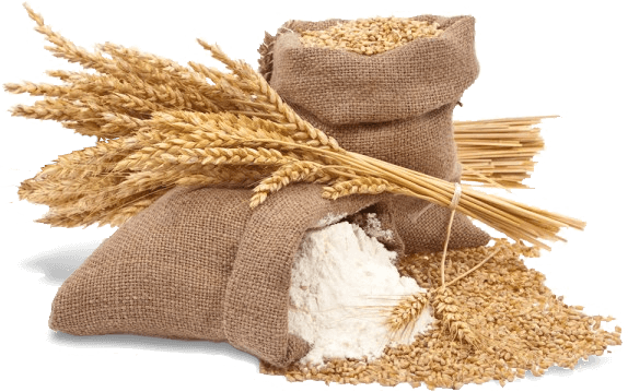 Agriculture